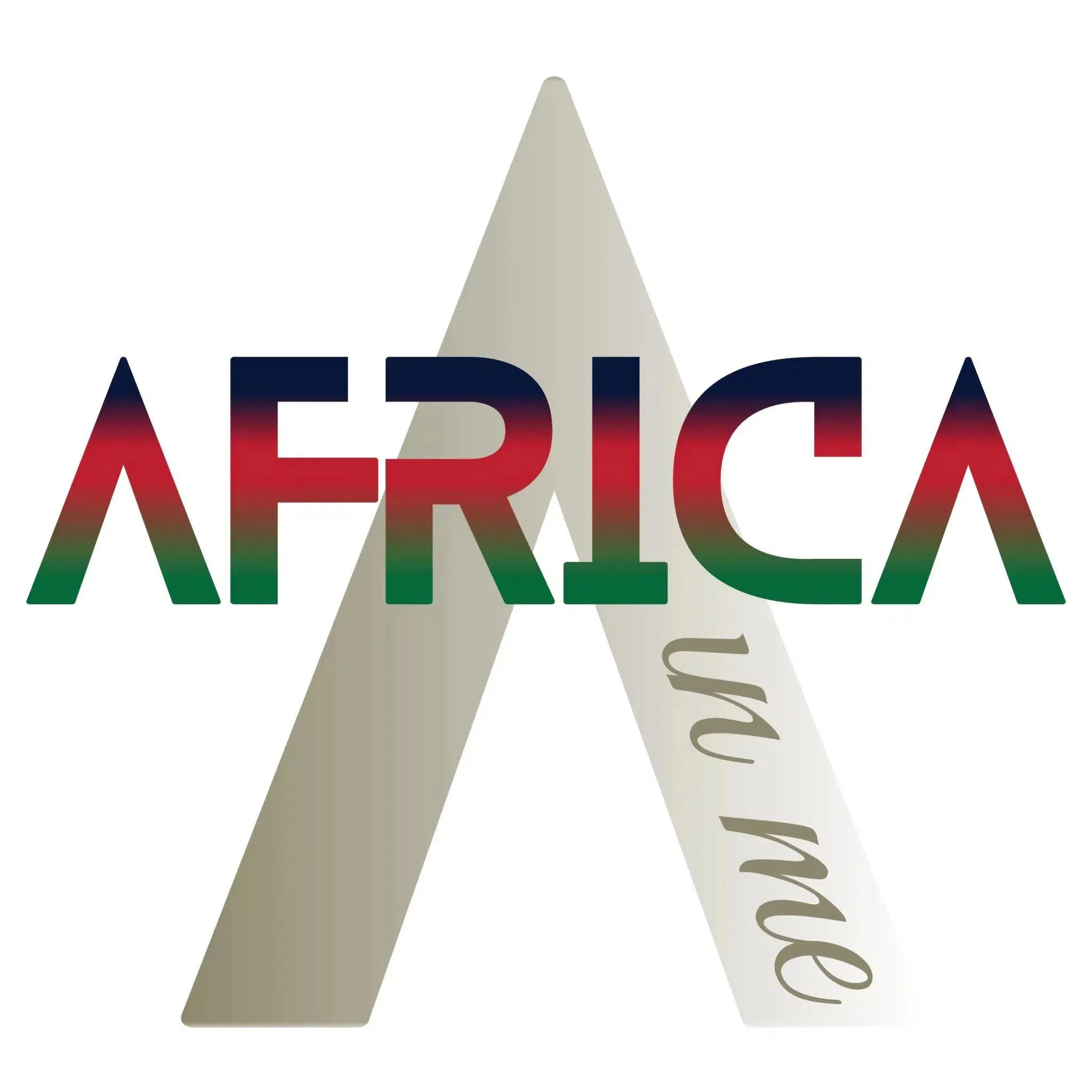 African American Hoodies AIM