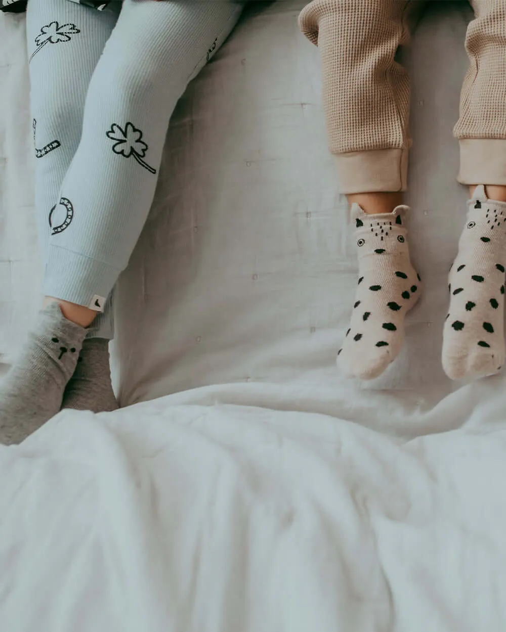 Bear Socks - 3 Pack