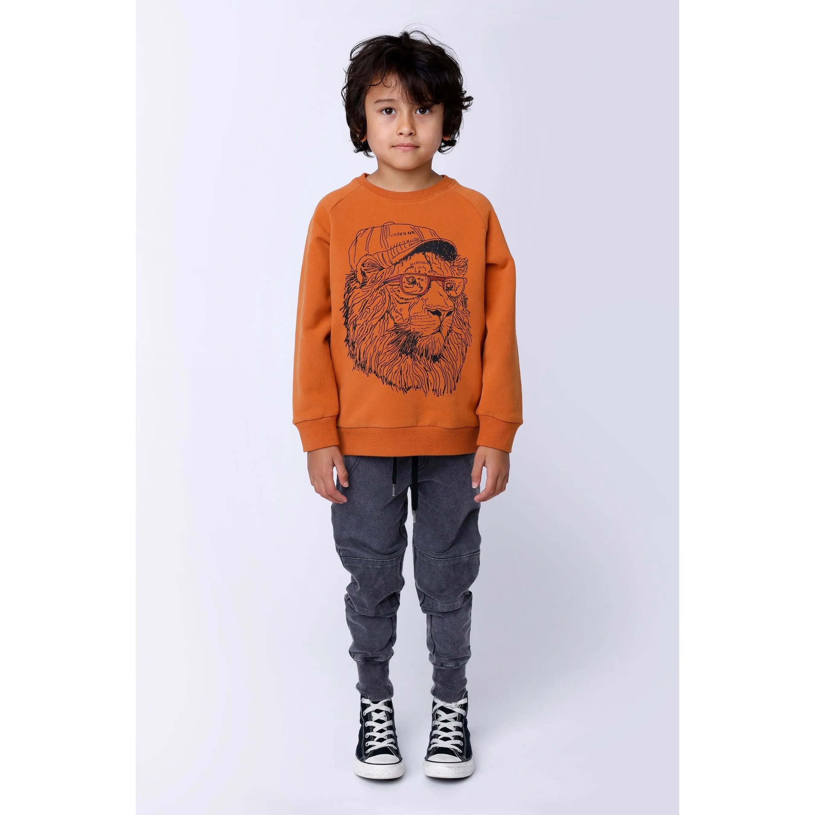 Cool Lion Furry Crew