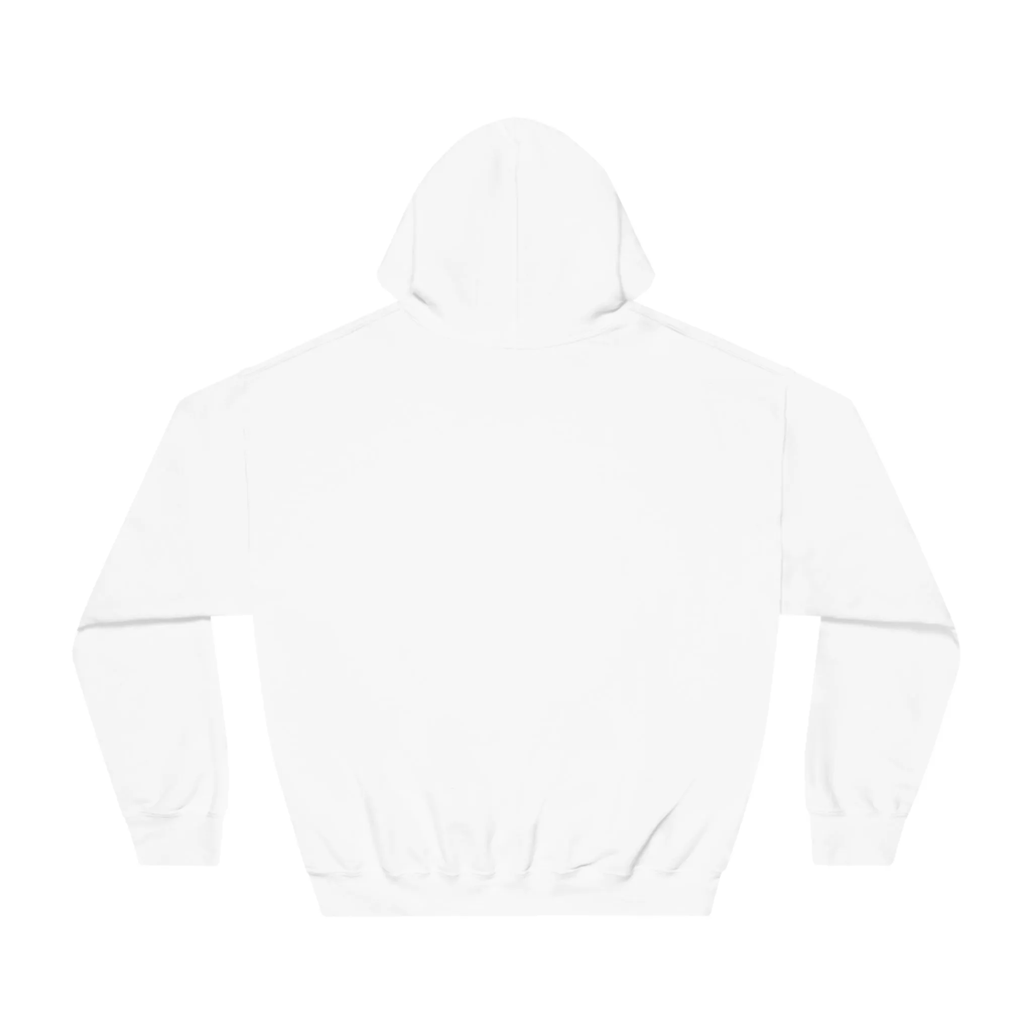 God Renews My Strength Men’s Unisex DryBlend® Hooded Sweatshirt
