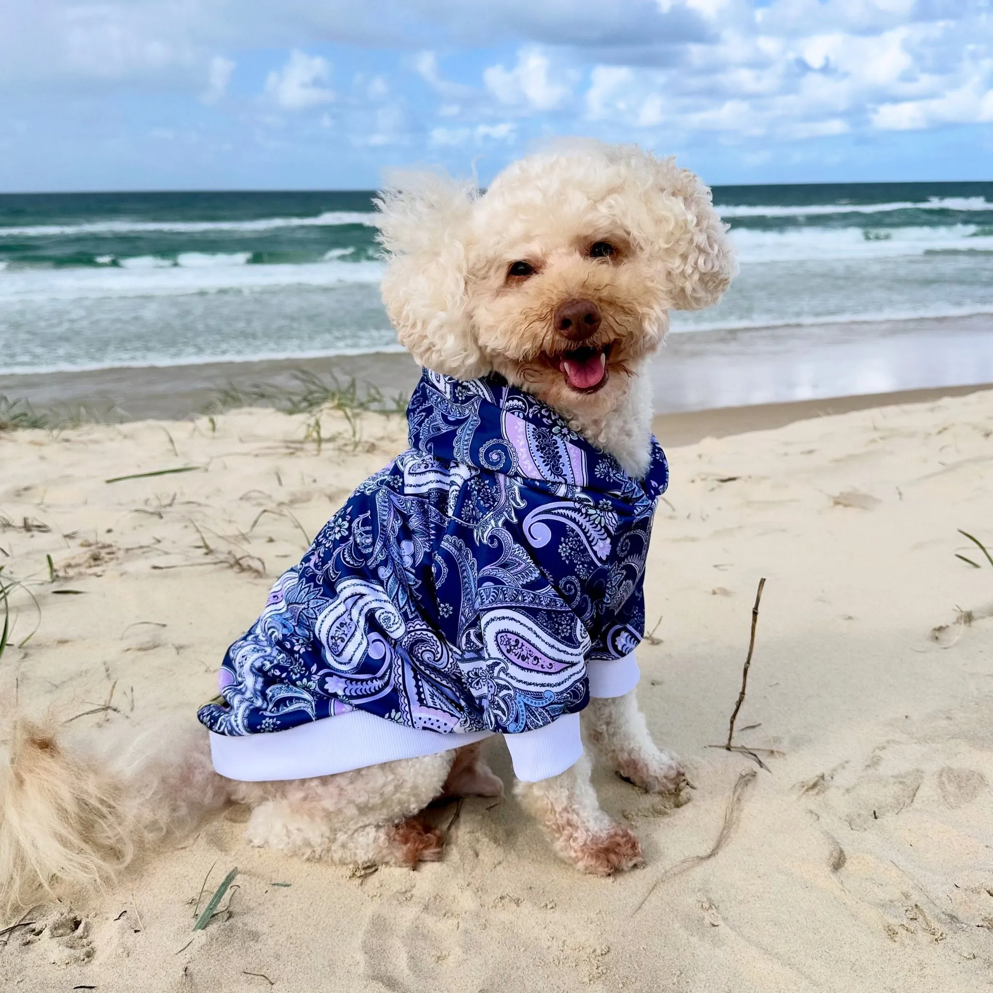 Paisley Dog Hoodie
