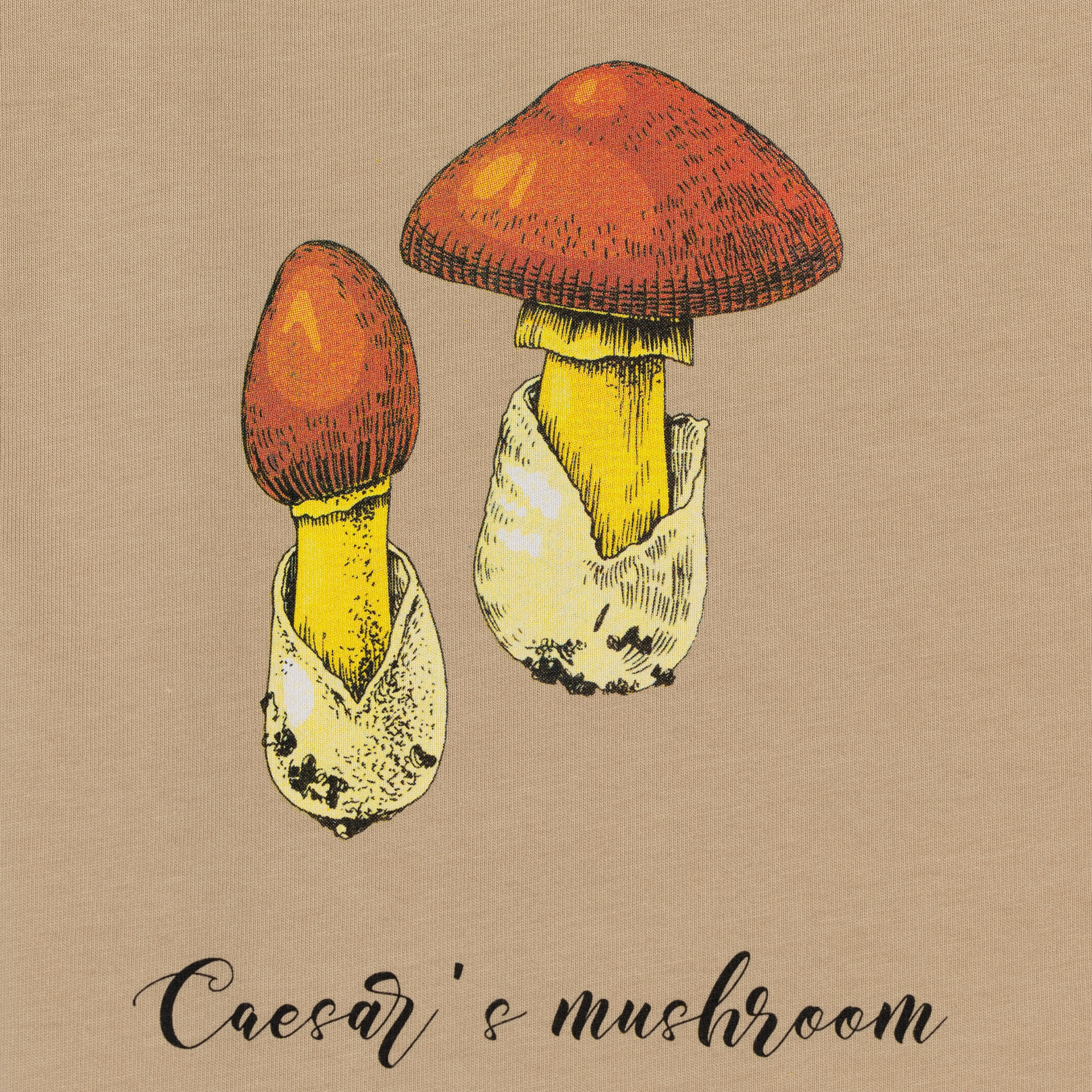 Premium Heavy Cotton Boxy Fit Discharge Print Tee - Fields of Rye / Mushroom