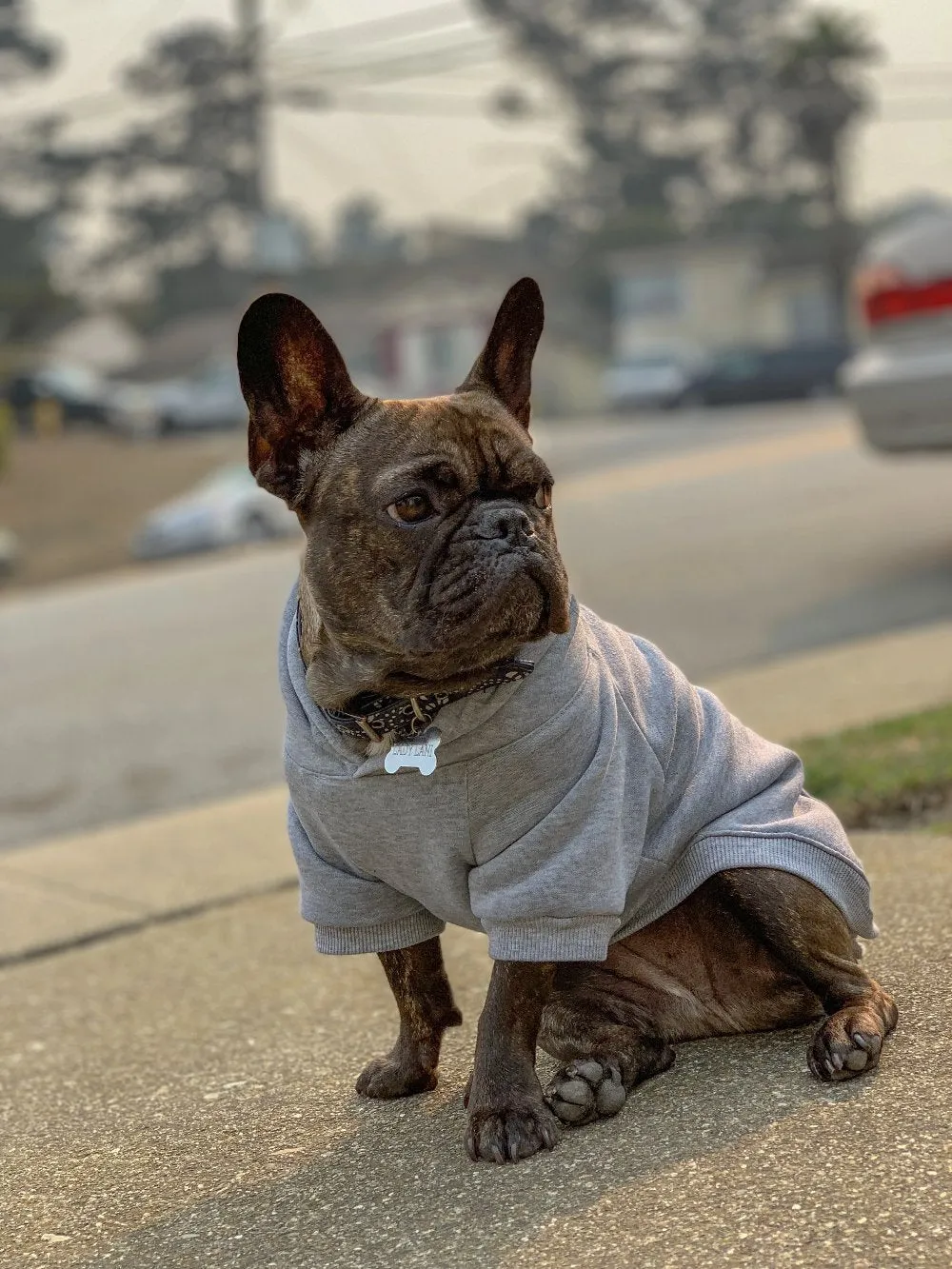 The Basic Hoodie - Heather Grey