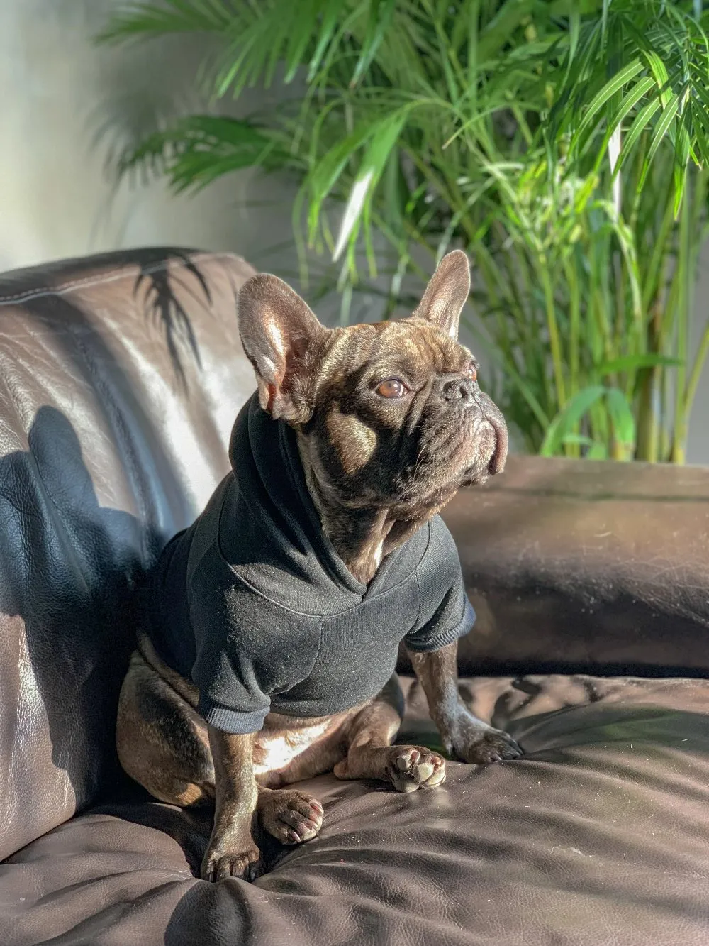 The Basic Hoodie - Jet Black